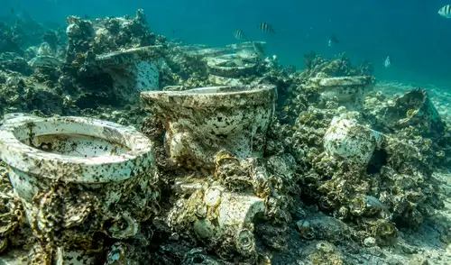 En Nueva York, miles de inodoros desechados se reciclaban para crear un arrecife artificial en Jamaica Bay. En Nueva York, miles de inodoros desechados se reciclaban para crear un arrecife artificial en Jamaica Bay.