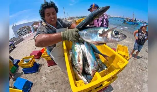 Urge blindar la biodiversidad y la pesca.
