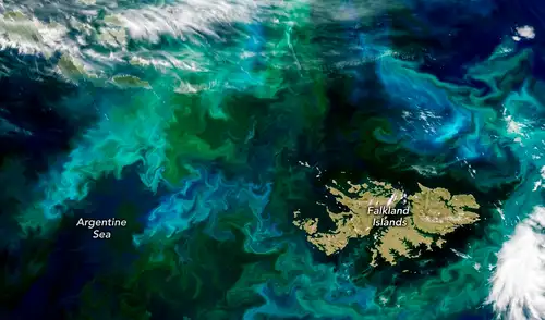 El Observatorio de la Tierra de la NASA ha registrado un fenómeno natural en el Atlántico Sur, cerca de las Islas Malvinas, con remolinos visibles desde el espacio. Captados el 28 de diciembre de 2024, presentan franjas verdes y azules. El Observatorio de la Tierra de la NASA ha registrado un fenómeno natural en el Atlántico Sur, cerca de las Islas Malvinas, con remolinos visibles desde el espacio. Captados el 28 de diciembre de 2024, presentan franjas verdes y azules.