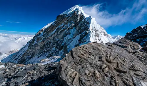 Fósiles de organismos marinos, hallados en la cima del Everest, indican un pasado oceánico en la montaña más alta del mundo. Estas evidencias revelan su evolución geológica a lo largo de millones de años.