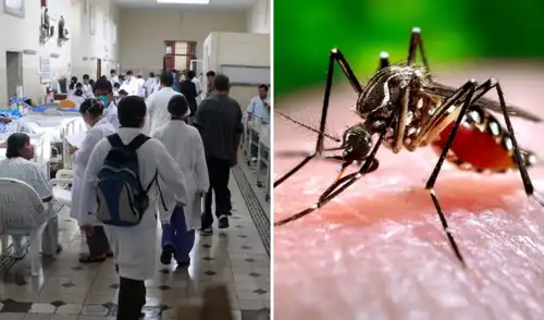 El dengue registra un aumento de casos en distintas regiones del Perú ante las condiciones climáticas asociadas al fenómeno de El Niño.