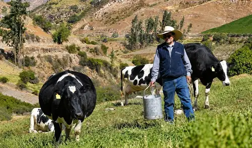 Tribunal Constitucional decidirá sobre norma que regula la leche evaporada.