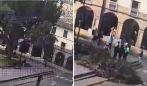 Turista se salva milagrosamente de ser aplastada por rama de árbol en Cusco Turista se salva milagrosamente de ser aplastada por rama de árbol en Cusco