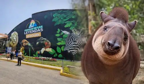 Parque de las Leyendas despide a Pancha Parque de las Leyendas