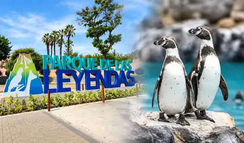 Parque de las Leyendas ofrecerá descuentos en sus entradas Parque de las Leyendas