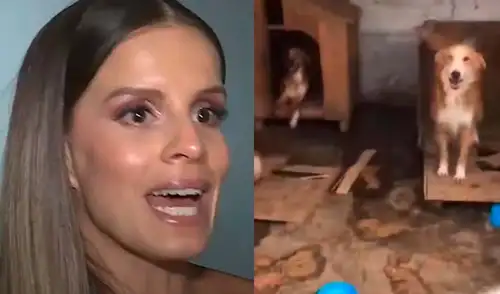Alejandra Baigorria señaló que ninguna persona del albergue en Chaclacayo se comunicó con ella. Foto: Composición LR/captura/YouTube Alejandra Baigorria señaló que ninguna persona del albergue en Chaclacayo se comunicó con ella.
