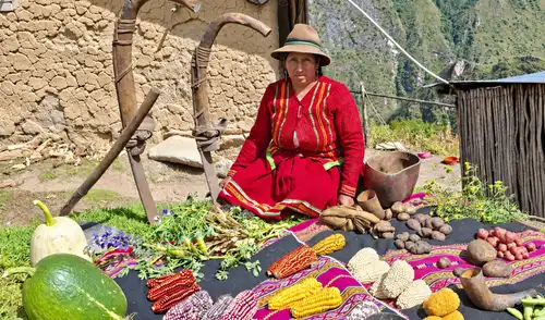 Agricultura