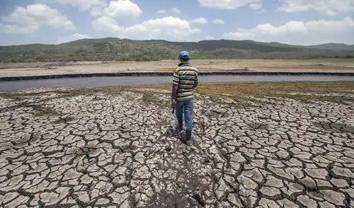 El fenómeno climático amenaza con afectar alimentos, agricultura, ganadería y suministro de agua en varios países de América Latina El fenómeno climático amenaza con afectar alimentos, agricultura, ganadería y suministro de agua en varios países de América Latina