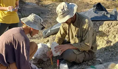 El Desierto Oriental de Egipto, hoy árido, fue un mar cálido hace 62,2 millones de años.