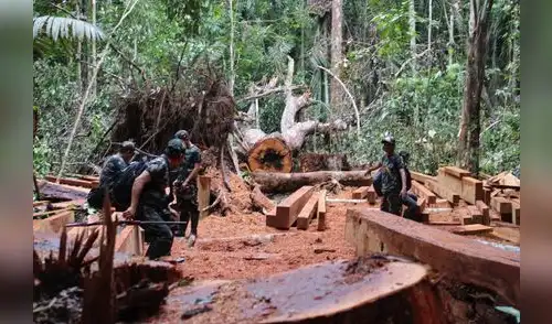 Economìas ilegales amenazan a lìderes y defensores ambientales. Economìas ilegales amenazan a lìderes y defensores ambientales.