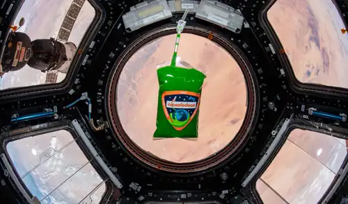 El slime de Nickelodeon en la cúpula de la Estación Espacial Internacional. Foto: NASA El slime de Nickelodeon en la cúpula de la Estación Espacial Internacional. Foto: NASA