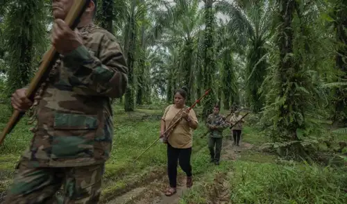 La violencia contra líderes indígenas en la Amazonía peruana ha aumentado. Desde 2020, Global Witness informa que han asesinado a 35 defensores ambientales, con el pueblo kakataibo como principal afectado.
