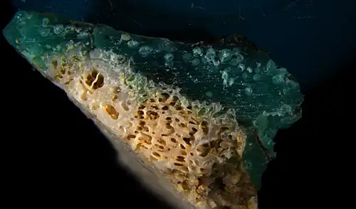 Plasticoral recolectado en la playa de Sosu, también dentro del Parque Nacional Yanbaru, en el norte de Okinawa. Foto: Ilechukwu