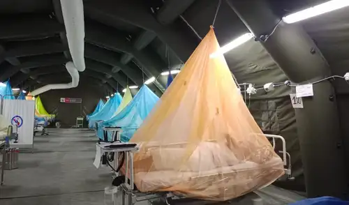 El dengue sigue en aumento en el norte del Perú, con Piura y La Libertad reportando 17,249 casos y 10 fallecidos en 2026. Las altas temperaturas y lluvias agravan la situación sanitaria. El dengue sigue en aumento en el norte del Perú, con Piura y La Libertad reportando 17,249 casos y 10 fallecidos en 2026. Las altas temperaturas y lluvias agravan la situación sanitaria.