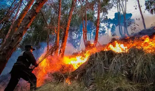 El Senamhi emite alerta roja por condiciones para incendios forestales en nueve regiones del Perú del 30 de septiembre al 5 de octubre. Las temperaturas y la sequedad aumentan el riesgo. El Senamhi emite alerta roja por condiciones para incendios forestales en nueve regiones del Perú del 30 de septiembre al 5 de octubre. Las temperaturas y la sequedad aumentan el riesgo.