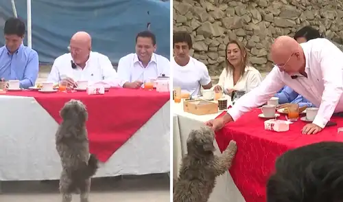 Elecciones Regionales y Municipales 2026
