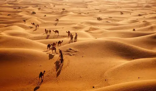 Marruecos impulsa un ambicioso proyecto agrícola en Dajla, transformando 5.200 hectáreas de terreno árido mediante la desalinización del agua del océano Atlántico. Marruecos impulsa un ambicioso proyecto agrícola en Dajla, transformando 5.200 hectáreas de terreno árido mediante la desalinización del agua del océano Atlántico.