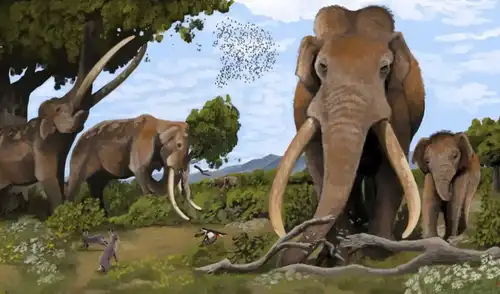 Los elefantes de colmillos rectos (Palaeoloxodon antiquus) vivieron en el Pleistoceno. Foto: Hodari Nundu