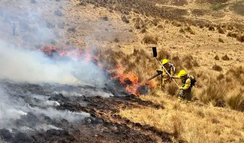 Un incendio forestal en Huayllay, Pasco, afecta más de 1.000 hectáreas y amenaza el Santuario Nacional Bosque de Piedras, reactivándose el 9 de octubre por la falta de control. Un incendio forestal en Huayllay, Pasco, afecta más de 1.000 hectáreas y amenaza el Santuario Nacional Bosque de Piedras, reactivándose el 9 de octubre por la falta de control.