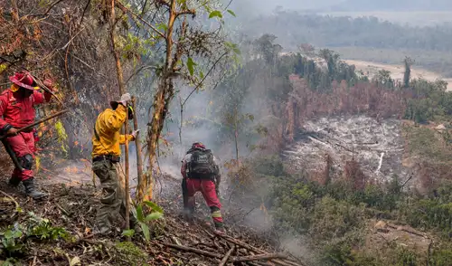 Incendio forestal en Río Tambo Junín