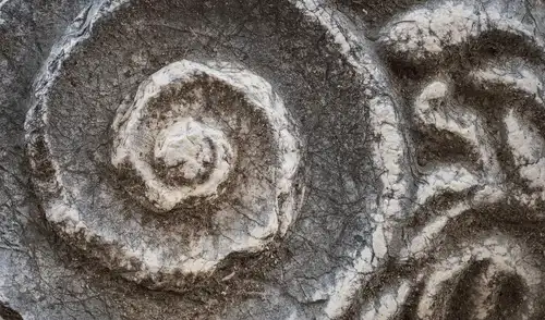 Investigadores en Cobán, Alta Verapaz, descubren fósiles de rudistas, moluscos habitadores de mares tropicales, que datan de hace 70 a 90 millones de años.