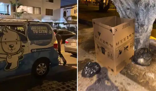 Vecinos de Surco denuncian abandono de cuerpo de perrita en parque por trabajador de veterinaria KoKovet Vecinos de Surco denuncian abandono de cuerpo de perrita en parque por trabajador de veterinaria KoKovet