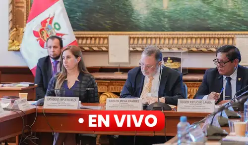 Comisión de Constitución del Senado debate pedido de facultades