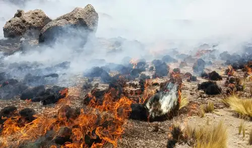 Los incendios forestales en Puno han dejado un saldo de dos fallecidos y 22 heridos, además de afectar 277 viviendas, con 40 de ellas inhabitables. Cientos de hectáreas de pastizales han sido destruidas.
