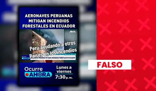 El reportaje corresponde a una operación realizada en Ecuador en 2024. El reportaje corresponde a una operación realizada en Ecuador en 2024.