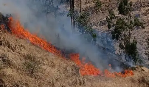 Un incendio forestal en Chupamarca, Huancavelica, destruyó la vivienda del alcalde Agripino Gustavo Pauyac Huaraca y dejó a cuatro personas afectadas por inhalación de humo. Un incendio forestal en Chupamarca, Huancavelica, destruyó la vivienda del alcalde Agripino Gustavo Pauyac Huaraca y dejó a cuatro personas afectadas por inhalación de humo.