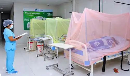 Deficiencias en atención médica agravan situación del dengue en Perú Deficiencias en atención médica agravan situación del dengue en Perú