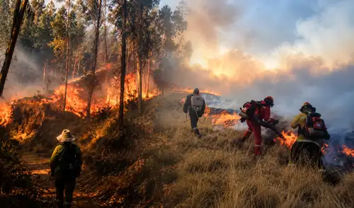 Incendios forestales en Perú Incendios forestales