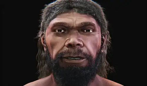 Investigadores utilizaron fósiles humanos para crear un rostro digital de hace más de 300.000 años. Foto: Cicero Moraes Investigadores utilizaron fósiles humanos para crear un rostro digital de hace más de 300.000 años. Foto: Cicero Moraes