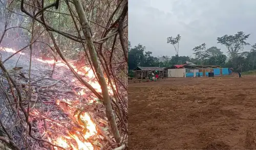 El incendio forestal en la comunidad nativa de Cutivireni, distrito de Río Tambo, fue extinguido tras 19 días, gracias a las lluvias recientes. Las autoridades siguen con el monitoreo de la zona para evitar reactivaciones.