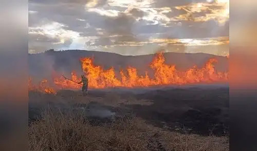Tras varias semanas, los incendios por fin fueron controlados.