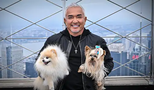 César Millán, experto en comportamiento canino, reflexionó en una charla en Quezon City sobre cómo las emociones de los dueños impactan en la conducta de sus perros, resaltando la importancia de la comunicación no verbal. César Millán, experto en comportamiento canino, reflexionó en una charla en Quezon City sobre cómo las emociones de los dueños impactan en la conducta de sus perros, resaltando la importancia de la comunicación no verbal.