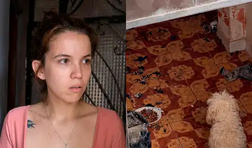 Greissy Ortega vuelve a los reflectores de la farándula peruana tras denuncia por supuesto maltrato animal. Composición LR. Instagram Greissy Ortega vuelve a los reflectores de la farándula peruana tras denuncia por supuesto maltrato animal.