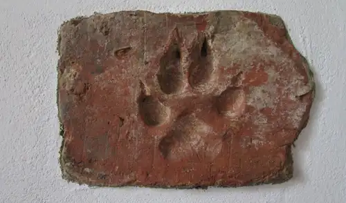 Huella de perro en un ladrillo de barro, similar a la encontrada en Turquía. Imagen no asociada a los hallazgos. Foto: Hols/Shutterstock Huella de perro en un ladrillo de barro, similar a la encontrada en Turquía. Imagen no asociada a los hallazgos. Foto: Hols/Shutterstock