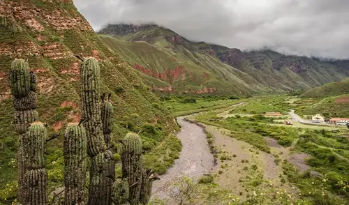 La pareja, que lleva más de 50 años unida, decidió conservar sus espacios personales desde el inicio de su relación, viviendo a 3.500 metros de altitud y cultivando la tierra. La pareja, que lleva más de 50 años unida, decidió conservar sus espacios personales desde el inicio de su relación, viviendo a 3.500 metros de altitud y cultivando la tierra.