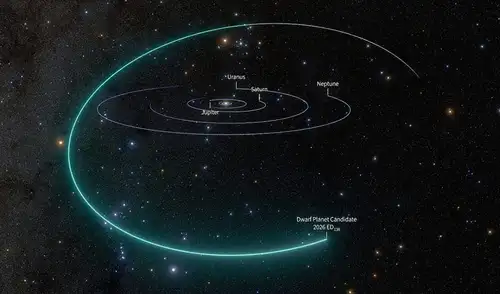 Una vista del sistema solar que muestra la vía orbital del candidato a planeta enano 2026 ED138. Foto: NSF–DOE Vera C. Observatorio