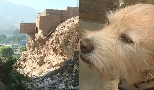 Las inminentes lluvias ponen en riesgo viviendas y un albergue de perritos.