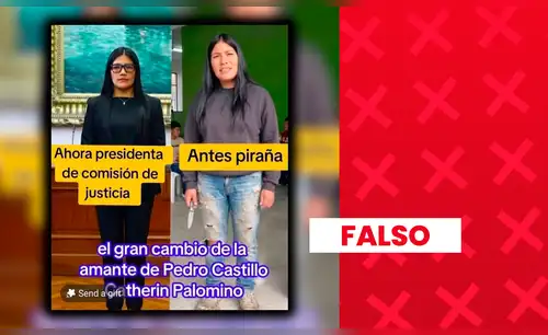 La imagen que circula como una antigua fotografía de la diputada fue generada con inteligencia artificial.