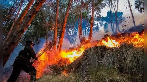 Alerta roja por incendios forestales en nueve regiones: riesgo se mantiene hasta el 5 de octubre