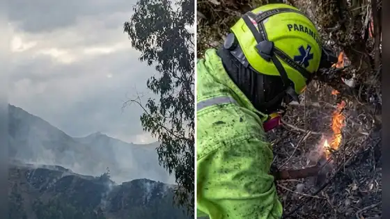 Indeci alerta que incendios forestales en Ayacucho, Moquegua y Puno siguen activos y destruyen cobertura natural