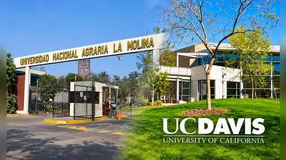 Oportunidades de pasantías en EE. UU.: Universidad Agraria La Molina y la Universidad de Califormnia-Davis coordinan programas de intercambio