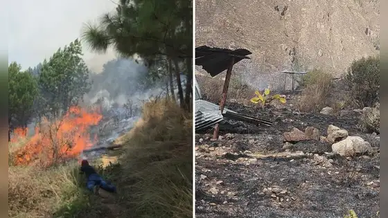 Tres personas son condenadas en Cusco por provocar incendios forestales que devastaron más de 23 hectáreas