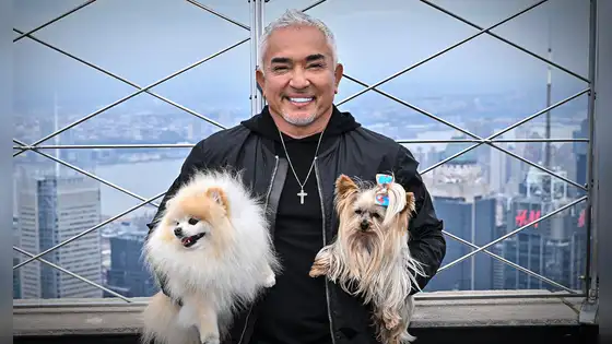 César Millán, el 'encantador de perros': “Lo que sientes se convierte en tu energía, y eso es lo único que tu perro sabe de ti”