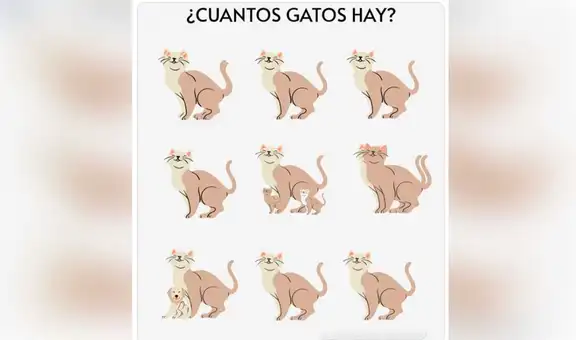 ¿Cuántos gatos encuentras en la imagen? El reto visual que pocos superan
