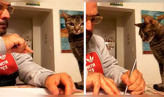 Hombre se ‘distribuye’ las labores del hogar con su gato y este tiene una singular reacción [VIDEO]