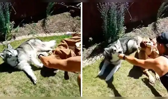 YouTube viral: padre e hija tienen peculiar método para entrenar a su perro